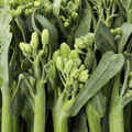 Broccolini Seeds