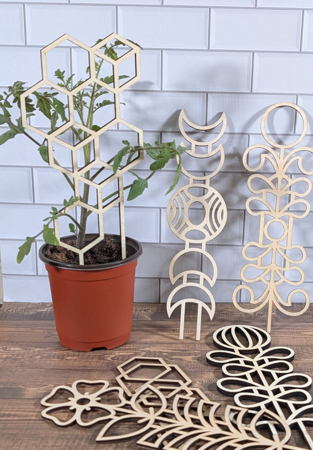 Mid Mod Trellis Set