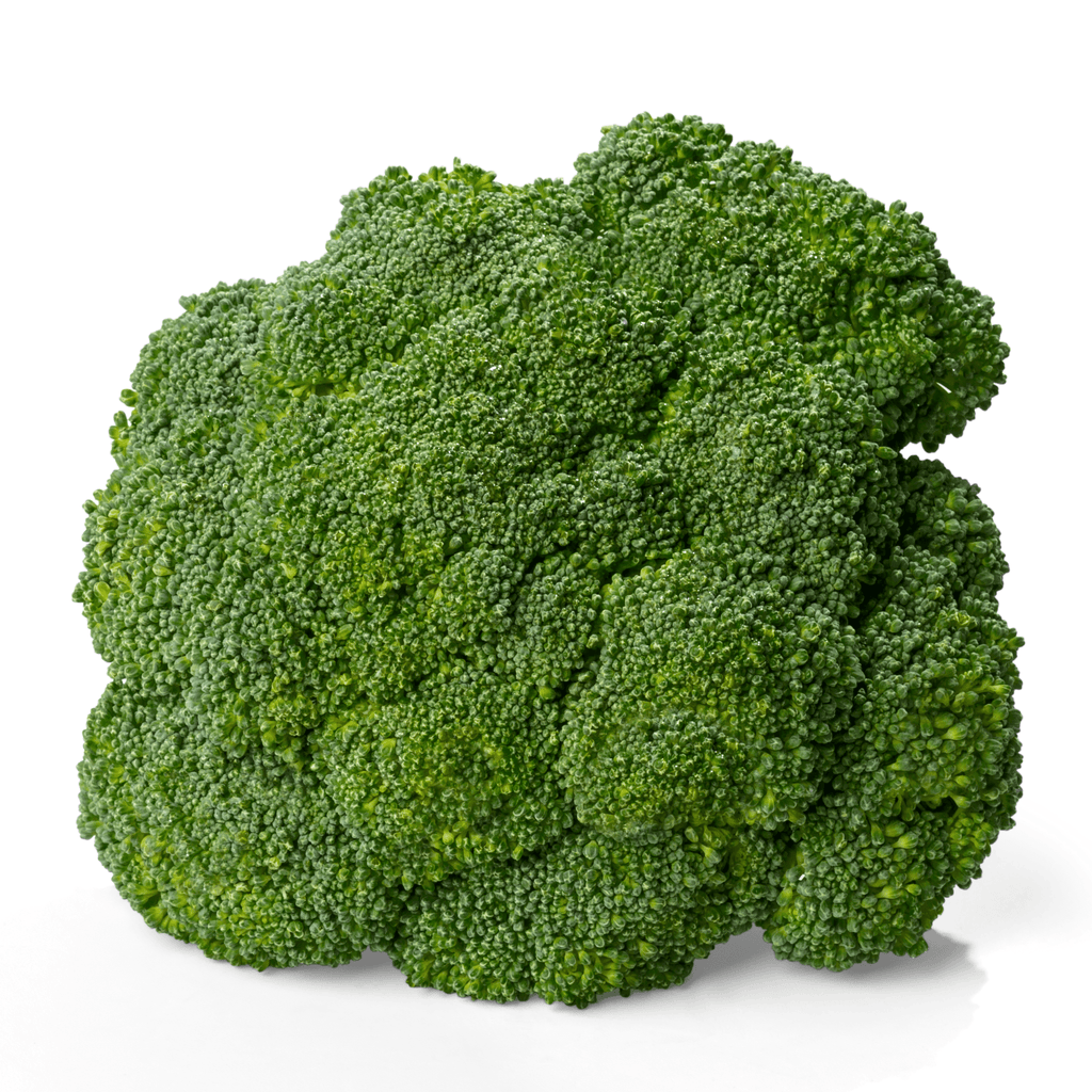 Hydra Broccoli Seeds