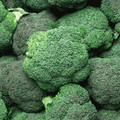 Hydra Broccoli Seeds